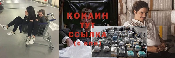 стаф Абаза