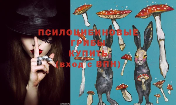 стаф Абаза