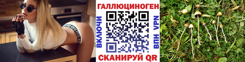 Псилоцибиновые грибы мицелий  купить наркоту  Задонск 