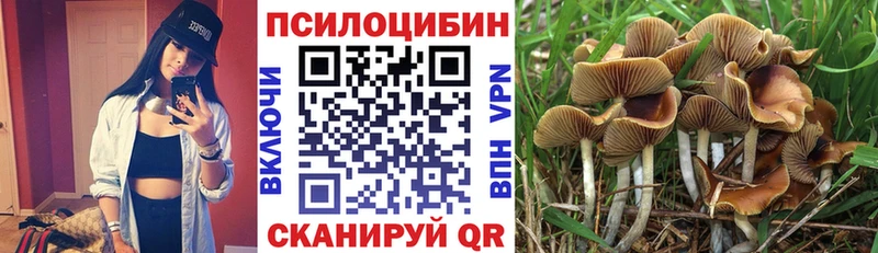 Псилоцибиновые грибы Psilocybine cubensis Задонск